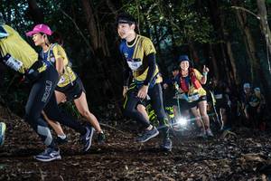 BIB: 
                            <button type="button" onclick="openModal(19041668)" class="btn btn-primary btn-sm float-right btn-popup" data-toggle="modal" data-target=".modal-high-quality">
                        <i class="fas fa-shopping-cart"></i> Add to Cart
                    </button>
                                            <button type="button" onclick="isThisMe(19041668, true)" class="btn btn-success btn-sm float-right btn-popup btn-isme hidden" data-toggle="tooltip" data-placement="bottom" title="นี่คือรูปของคุณใช่ไหม คลิกที่นี่เพื่อเอาเข้าอัลบั้ม">
                        <i class="fas fa-plus"></i> Add to album
                    </button>
                    <button type="button" onclick="isThisMe(19041668, false)" class="btn btn-warning btn-sm float-right btn-popup btn-isnotme hidden">
                        <i class="fas fa-ban"></i> Remove from album
                    </button>